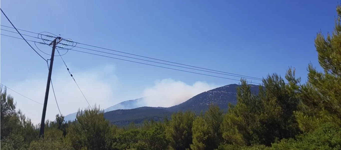 Κιθαιρώνας: Παραμένει εκτός ελέγχου η φωτιά - Ολονύχτια μάχη